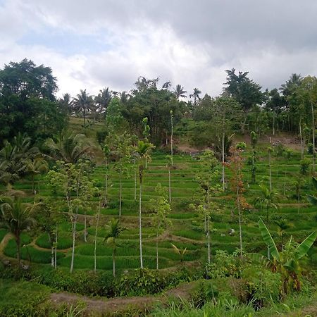Tetebatu Sunrise Homestay المظهر الخارجي الصورة
