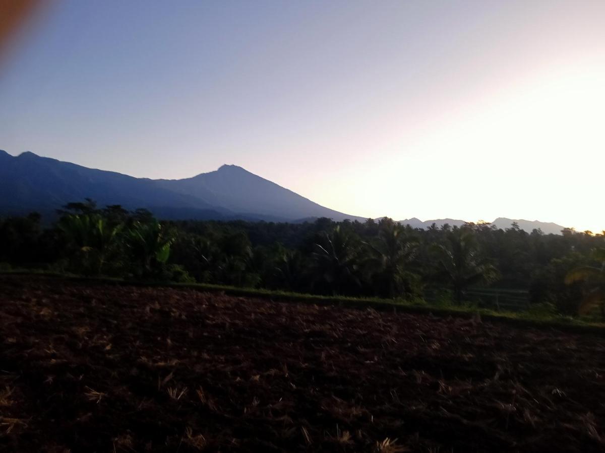 Tetebatu Sunrise Homestay المظهر الخارجي الصورة