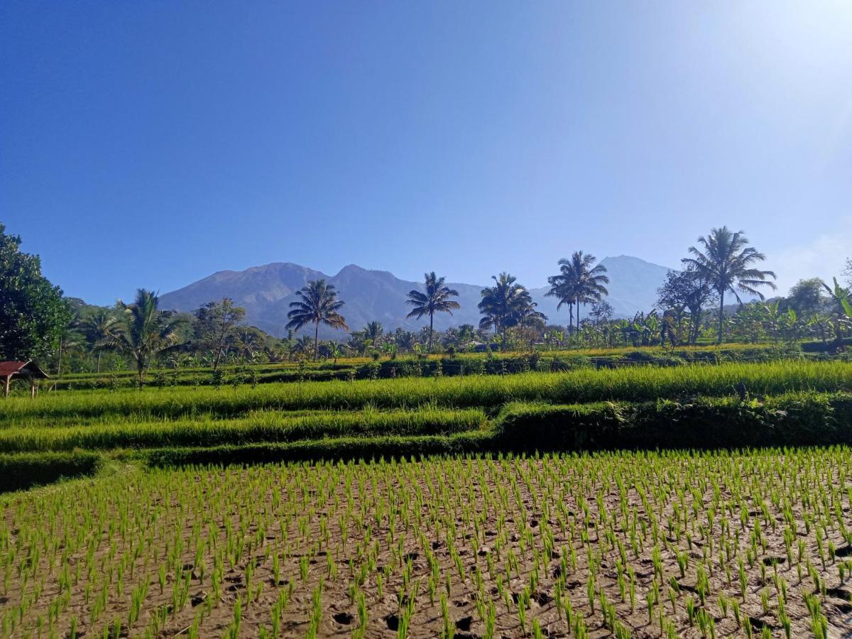 Tetebatu Sunrise Homestay المظهر الخارجي الصورة