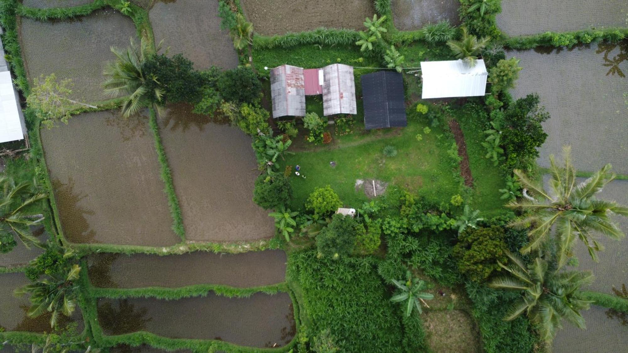 Tetebatu Sunrise Homestay المظهر الخارجي الصورة