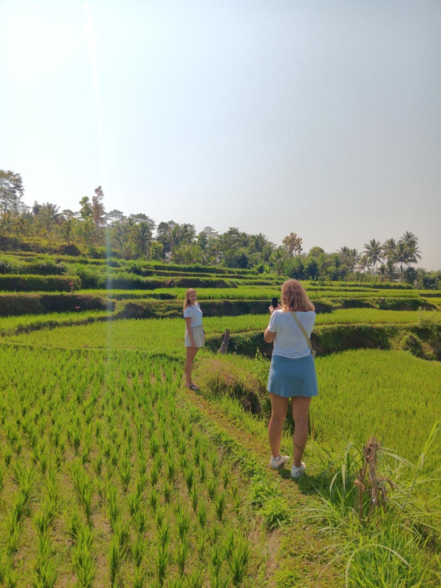 Tetebatu Sunrise Homestay المظهر الخارجي الصورة