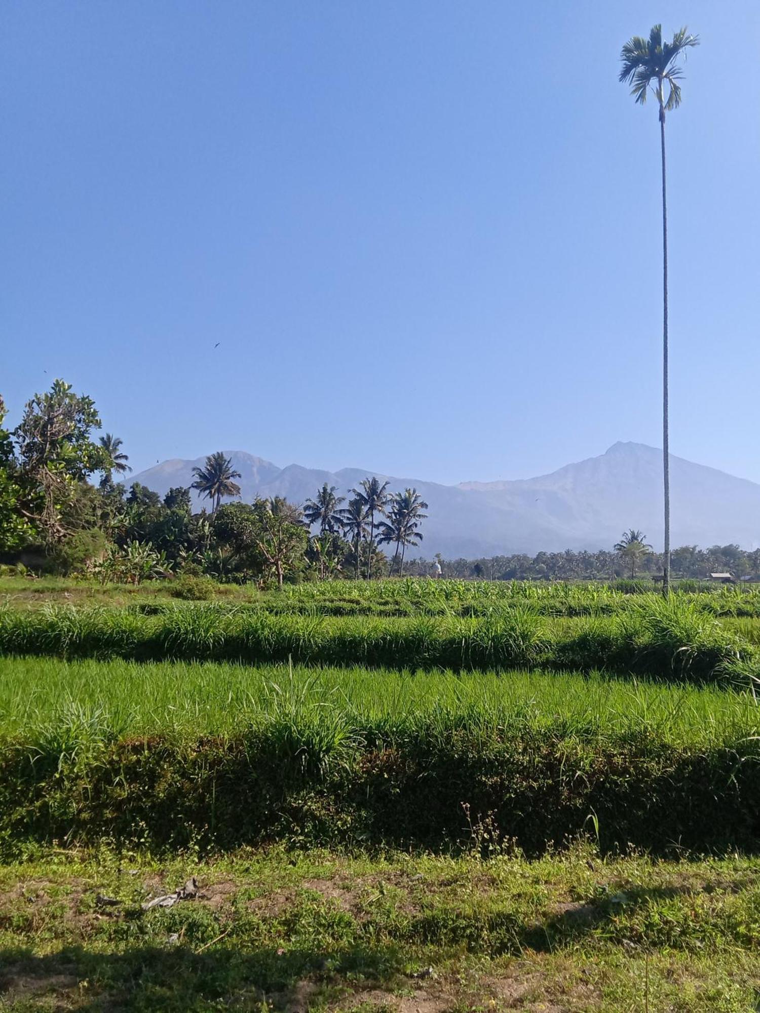 Tetebatu Sunrise Homestay المظهر الخارجي الصورة
