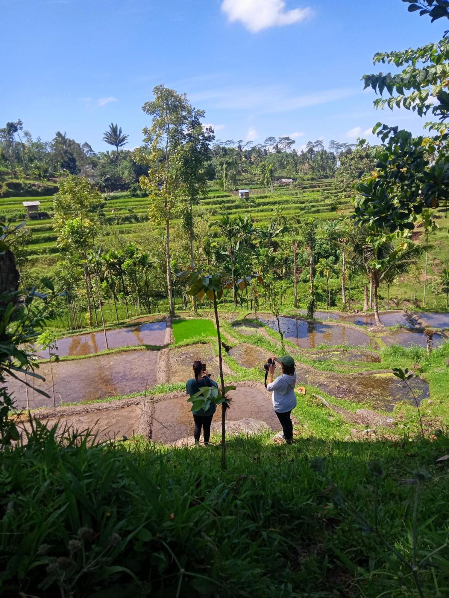 Tetebatu Sunrise Homestay المظهر الخارجي الصورة