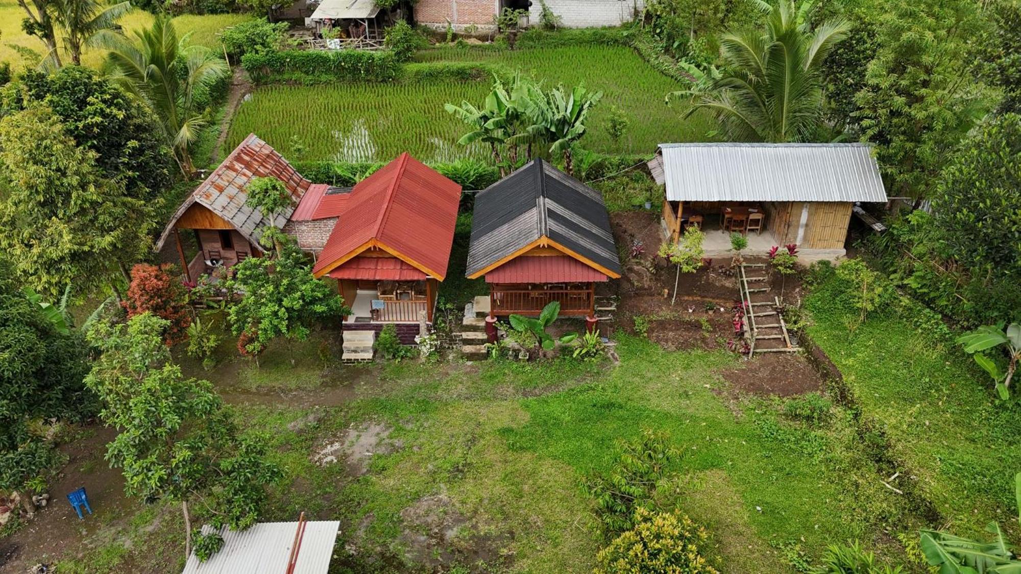 Tetebatu Sunrise Homestay المظهر الخارجي الصورة